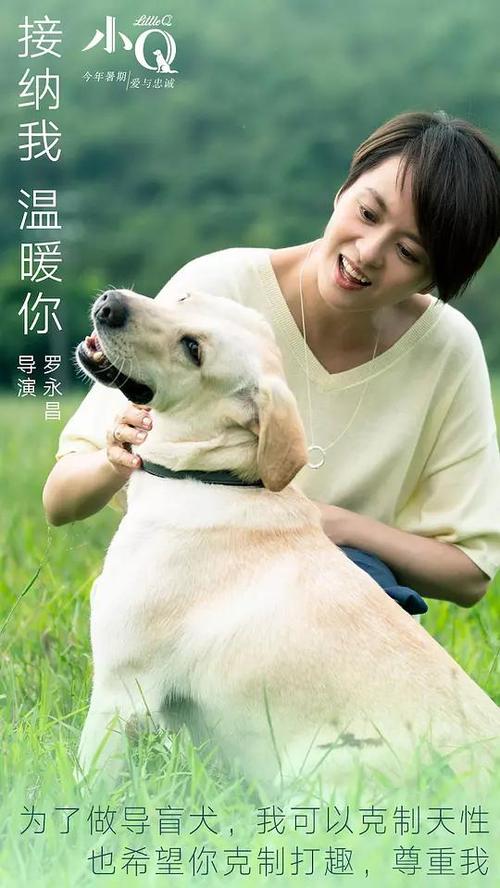 办假的杨百翰大学成绩单